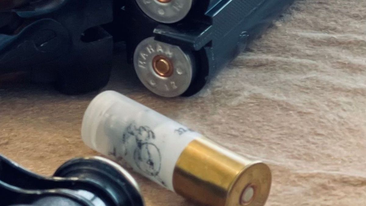 Шымкент әуежайында сөмкесінде патрон табылған тараздық әйел 60 мың теңге айыппұл төлейді