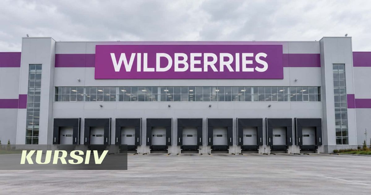 Wildberries қоймаларын дрондардан қорғау үшін 478 мың шаршы метр тор сатып алады
