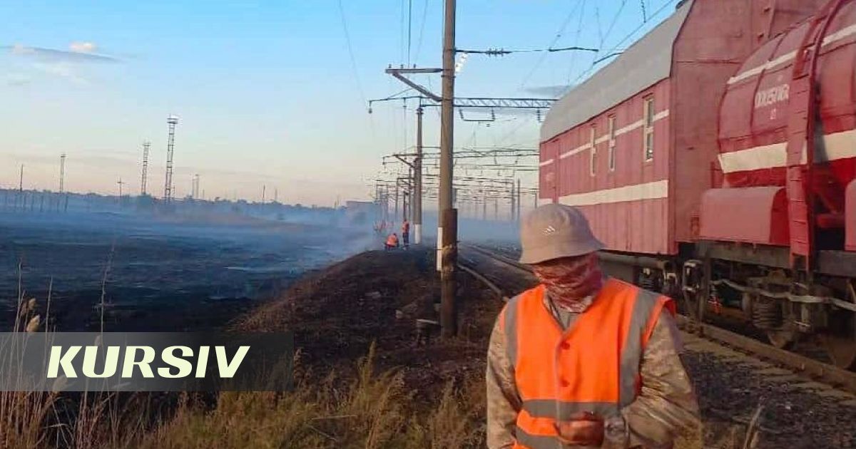 Пожарный поезд и ДЧС шесть часов тушили камыш у железной дороги в Караганде