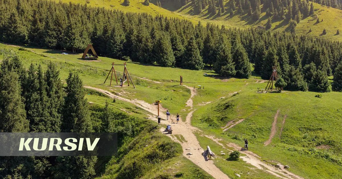 Пресс-конференция противников Almaty Superski: вред проекта не доказан