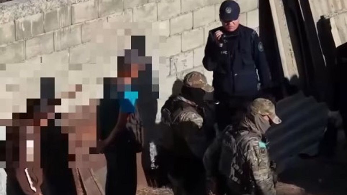 В Жамбылской области задержаны трое подозреваемых в краже 250 голов скота на 30 млн тенге