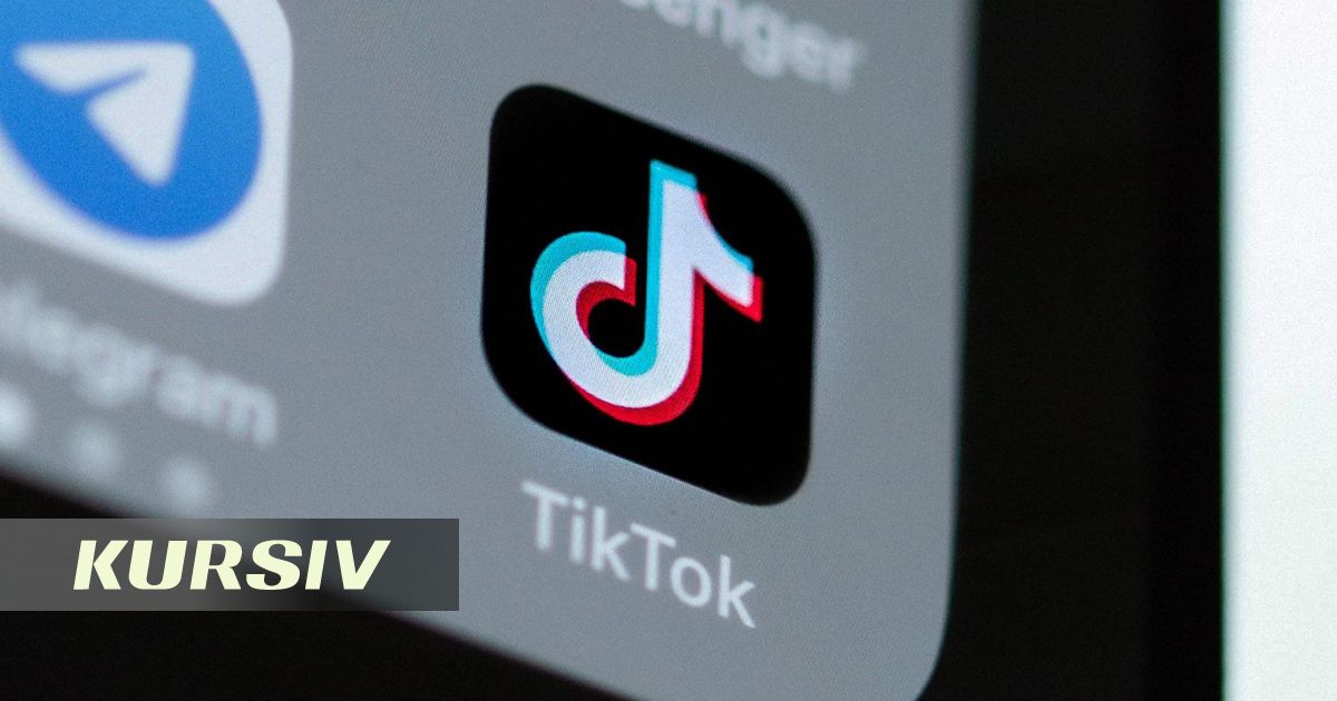 Живодёра из TikTok оштрафовали в Кызылординской области