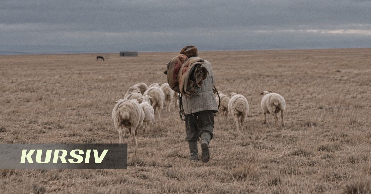 Казахстан отправит драму «Әбіл» на 99-ю премию «Оскар»