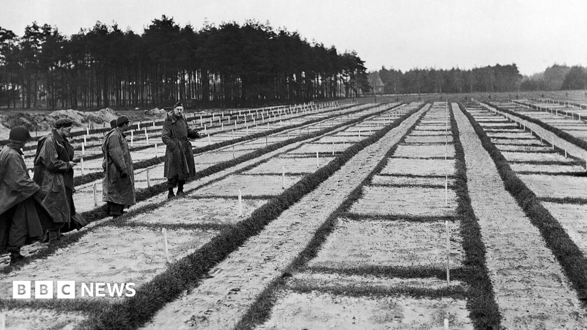 В Германии 105-летнего старика подозревают в работе охранником лагеря