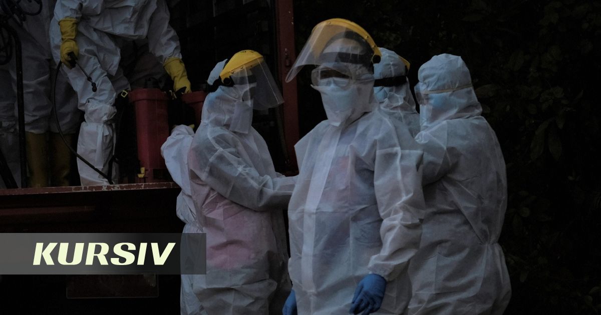В Конго подтверждён случай оспы на фоне вспышки Эболы