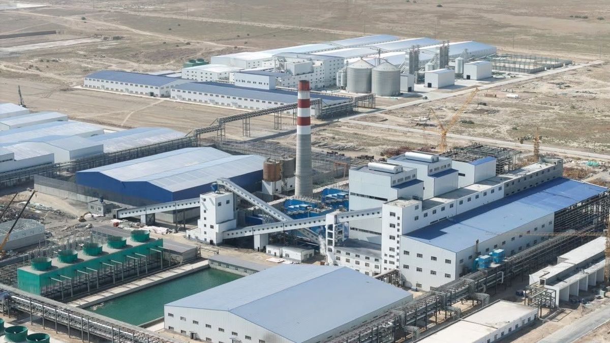 В Жамбылской области запущен крупнейший в Центральной Азии завод по переработке кукурузы