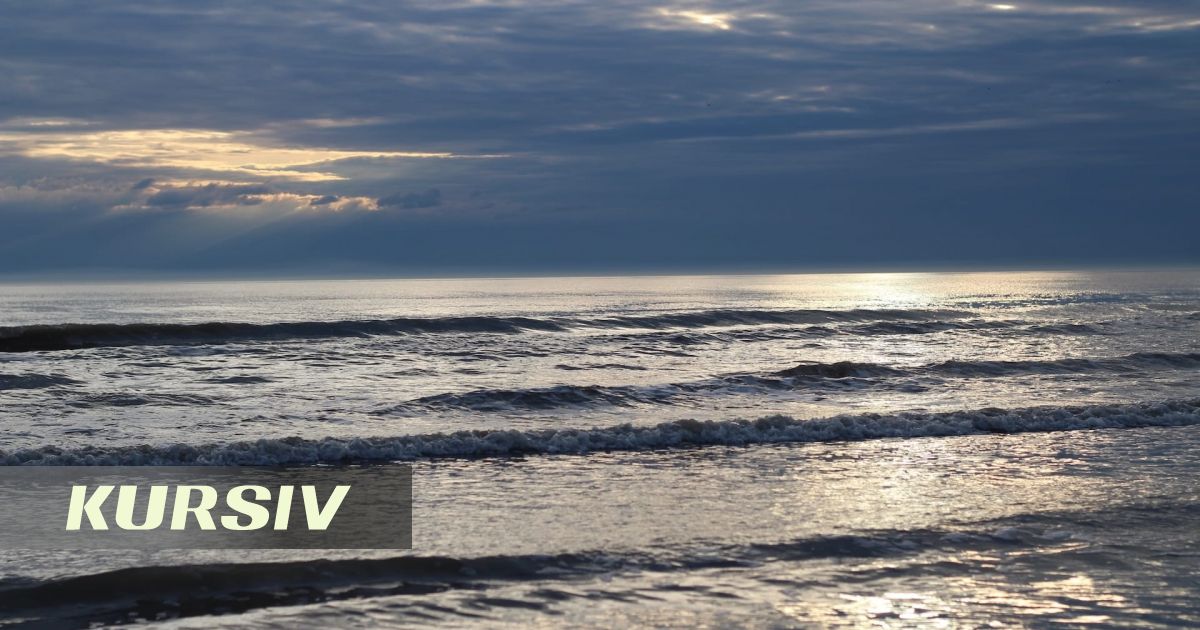 На Каспии спасли троих человек, которых унесло в открытое море
