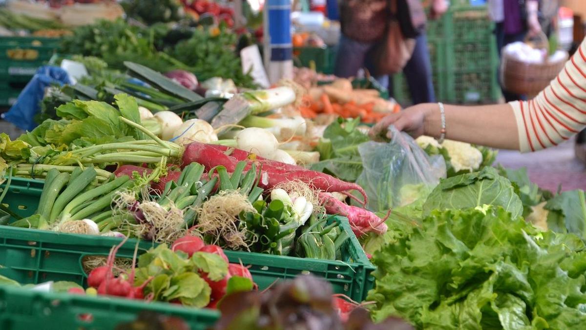 Диета EAT-Lancet связана со снижением риска рака легких и диабета