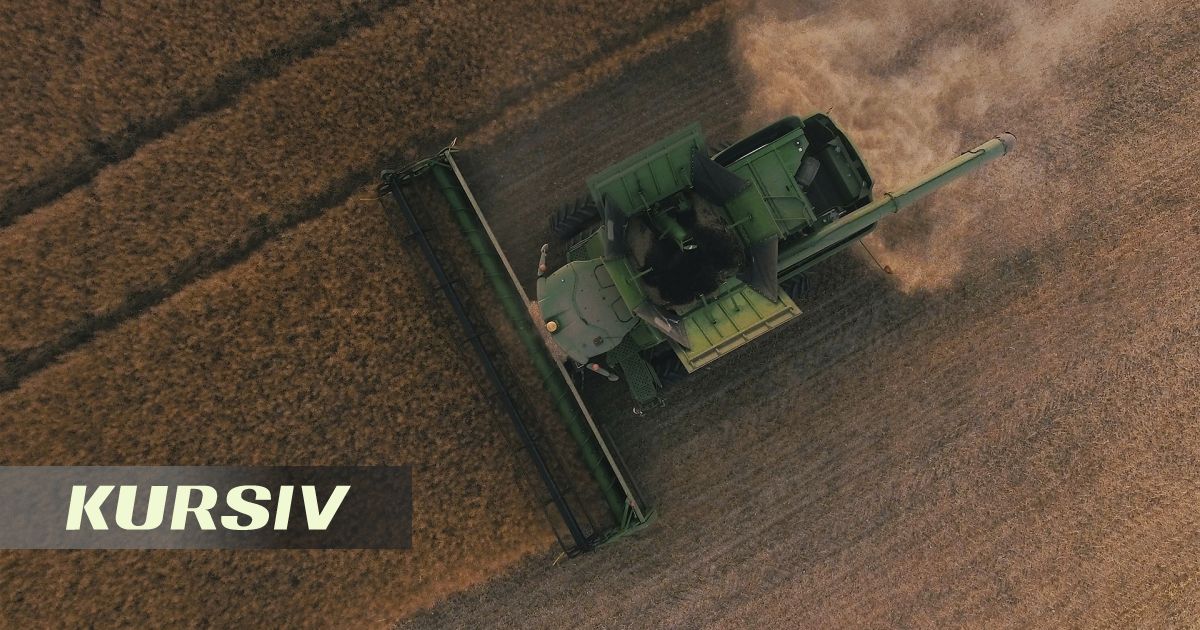 Казахстан планирует собрать 23 млн тонн зерна в 2026 году