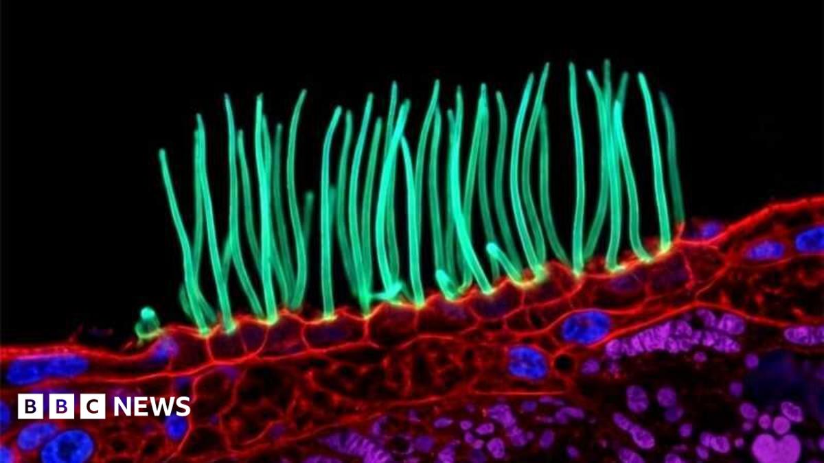 Победитель конкурса Nikon вызвал споры из-за использования искусственного интеллекта