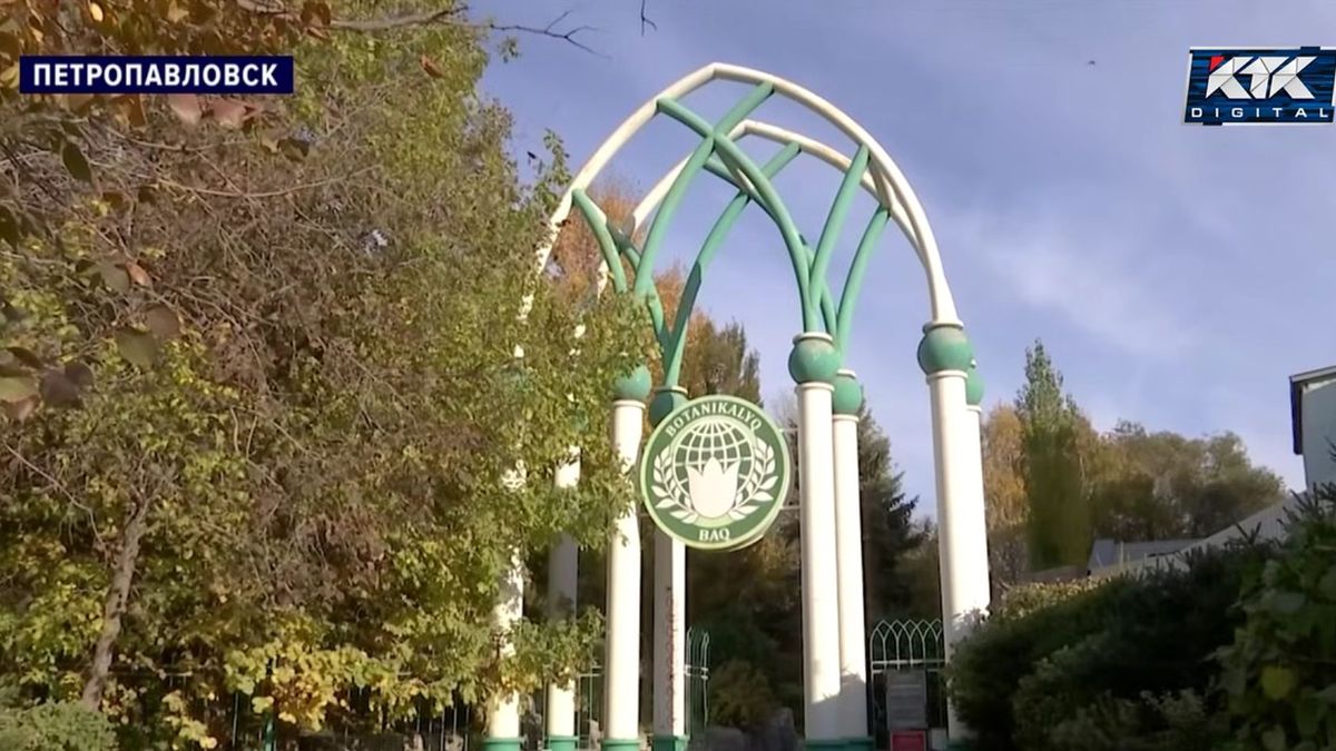 Сотрудники ботсада в Петропавловске жалуются на закладчиков наркотиков