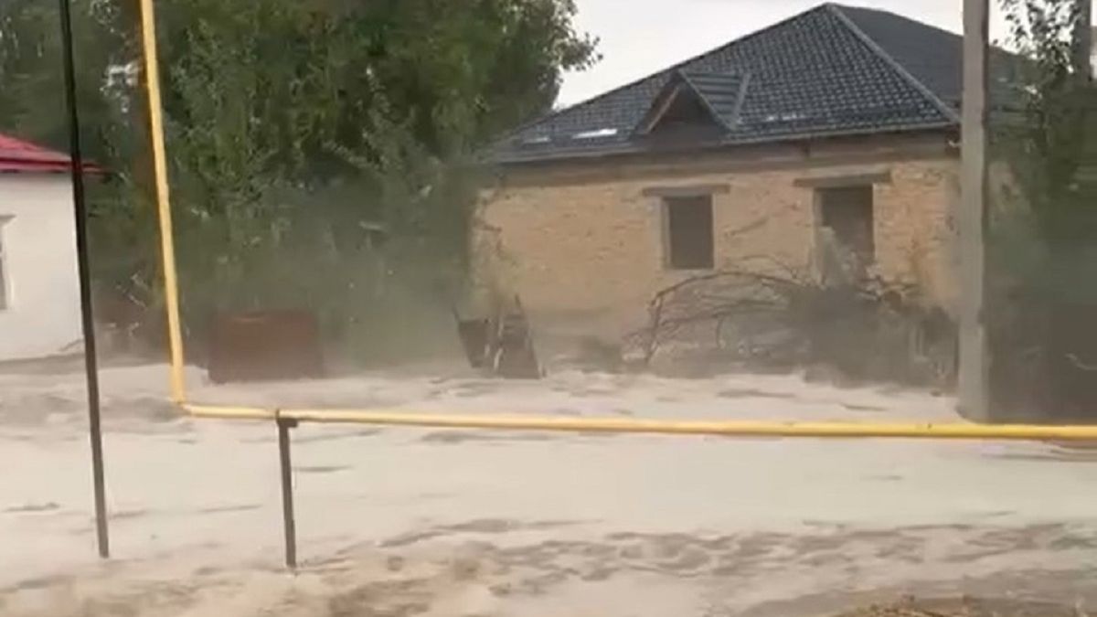 Семьи в Туркестанской области остались без жилья и скота после схода селя