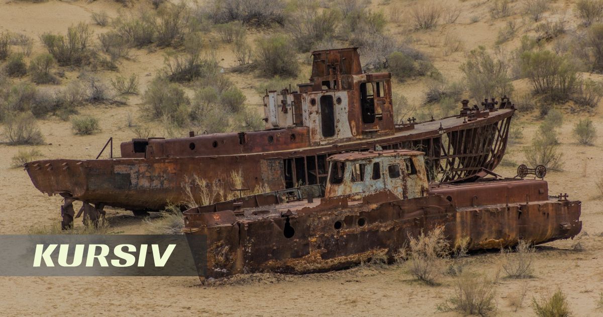 ВОЗ поможет Казахстану защитить здоровье жителей Приаралья