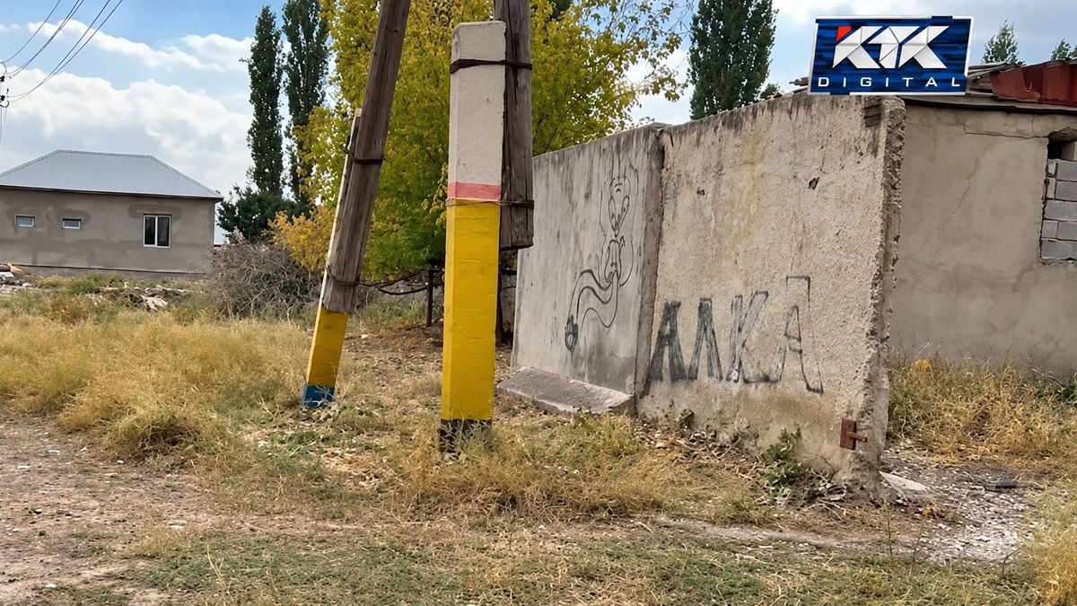 Смерть 15-летнего школьника после удара в грудь в Жамбылской области: подробности трагедии