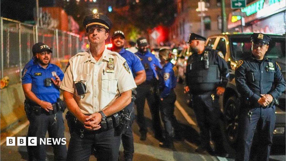 В Нью-Йорке сотрудник иммиграционной службы США застрелил мужчину