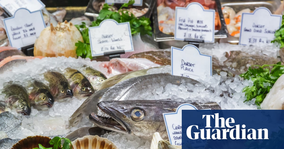 Предупреждение для любителей морепродуктов: потребление хека и сайды нужно сократить