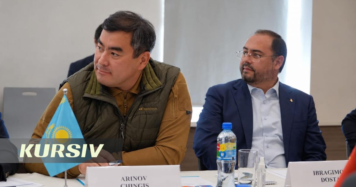 Аринов обсудил с китайскими инвесторами заводы и логистический хаб в Алматинской области