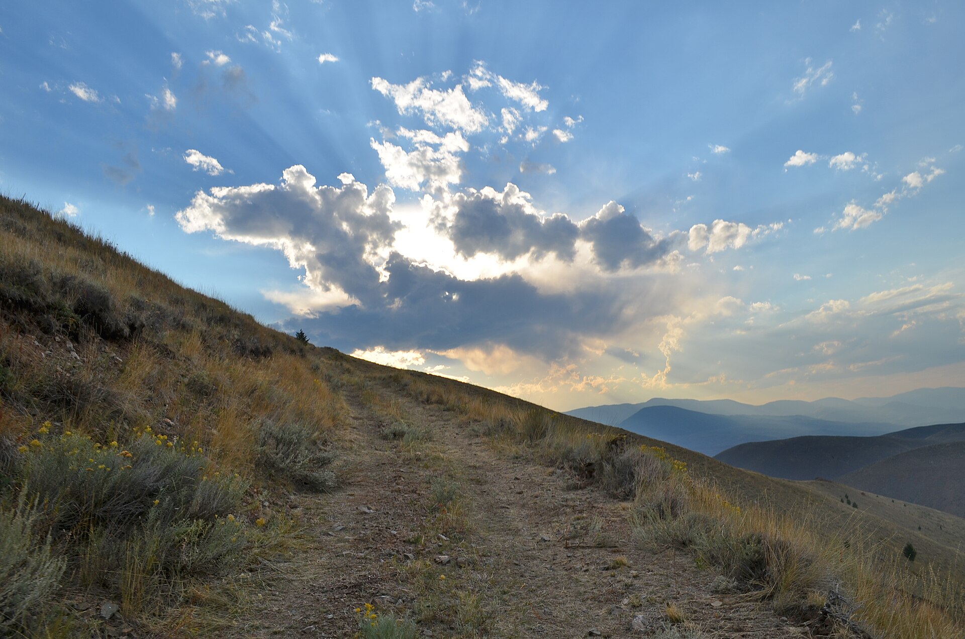 Үйлену тойына арналған тілектер мен баталар
