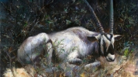Қытай суретшісі Cheung Chung Tat -тың жұмыстары.