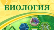 Жиынтық Бағалау ТЖБ, БЖБ, СОЧ, СОР Биология 9 Сынып
