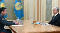 Президент Тоқаев Төтенше жағдайлар министрімен кездесті