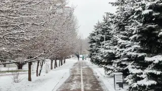 8 қаңтарда Қазақстанда қандай ауа райы болады: солтүстікте -22°, батыста +7°