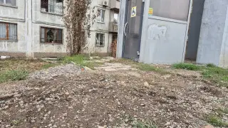 Алматы көшелерінде неге мүмкіндігі шектеулі жандар көрінбейді?
