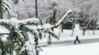 Астана мен Алматыда қатты суық күтілуде