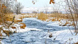 Қазақстанға +13 градусқа дейін жылу келеді