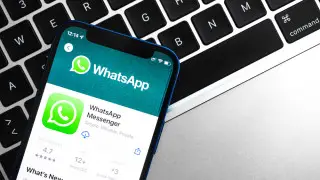 WhatsApp на компьютере: скоро можно будет звонить прямо из браузера