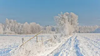 Қазақстанды қар басады, бірақ аяз кетеді