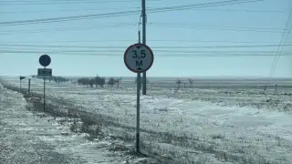 Жестокое обращение с животными в Абайской области: брошены на произвол судьбы
