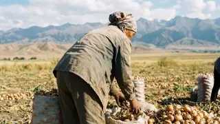 Жамбыл облысында әйел өлімі жарияланғаннан кейін бір айдан соң үйіне оралды