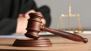 Соттағы дау: Ғалымды күнбағыс гибридінің патентінен шығармақ болған әрекет тоқтатылды