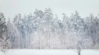 Қазақстанның көп бөлігінде дауылды ескерту жарияланды: қар, тұман және жел күтіледі