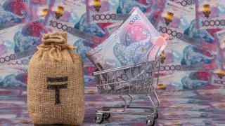 Ұлттық банк базалық мөлшерлемеге қатысты жоспарын жариялады