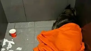 «Додо Пиццадағы» дау жалғасын тапты: Басқарушы жұмыстан кетті