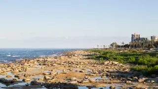 Каспий теңізінің болашағы: 2050 жылға дейінгі екі сценарий белгілі болды