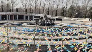 Алматыдағы Тұңғыш Президент саябағы: Ағаштар сақталып, субұрқақ жаңара ма?