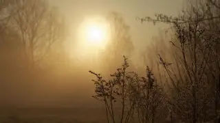 Қазақстанның бірнеше қаласы мен облыстарында дауылды ескерту жарияланды