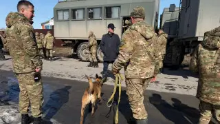 «Ұлым, жауап бер!»: Қостанайда жоғалған студенттің анасы видеоүндеу жасады