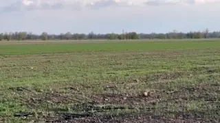 Жамбыл облысындағы фермерлер суармалы сусыз қалды: Неге бұл маңызды?