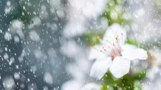 Қазақстан бойынша ауа райы өзгереді: сейсенбі, 14 сәуірге арналған болжам