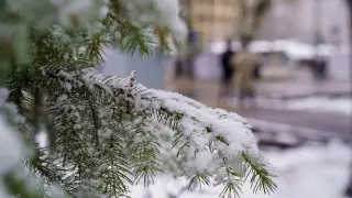 Қазақстанның барлық аймағында дауылды ескерту: жаңбыр, найзағай, қатты жел күтіледі