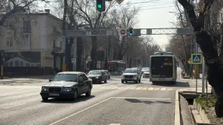 BRT не BRT: Алматыдағы автобус жолақтарының айырмашылығын сарапшылар түсіндірді