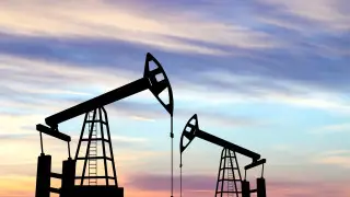 Бұл әлемдік нарықты дүрліктірді: БАӘ ОПЕК-тен шығатынын мәлімдеді