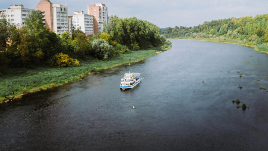 Норвегиядағы бірінші сынып оқушысы экскурсия кезінде кездейсоқ мыңжылдық викинг қылышын тапты