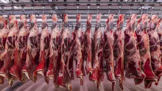 Қазақстан Түркияға халал ет экспорттауға дайын