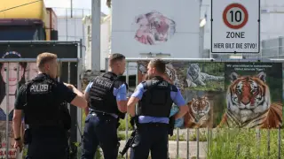 Германияда жолбарыс бағушысына шабуыл жасап, атылып кетті