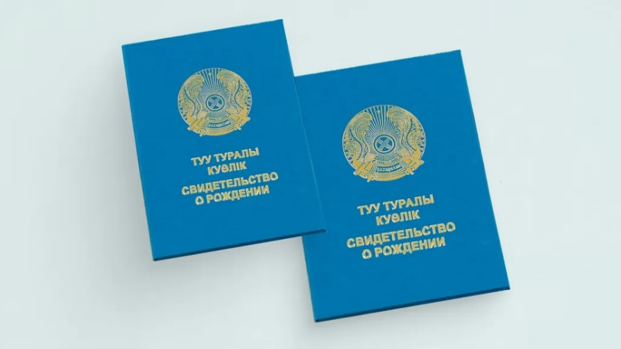 «Тірі жетім»: Қазақстанда әкесіз өсетін балалардың саны қанша?